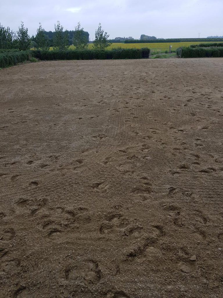 Kiwi Arena Rake