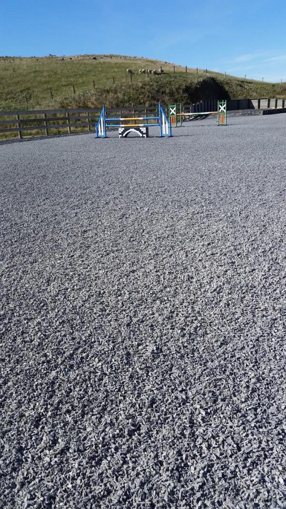 Kiwi Arena Rake